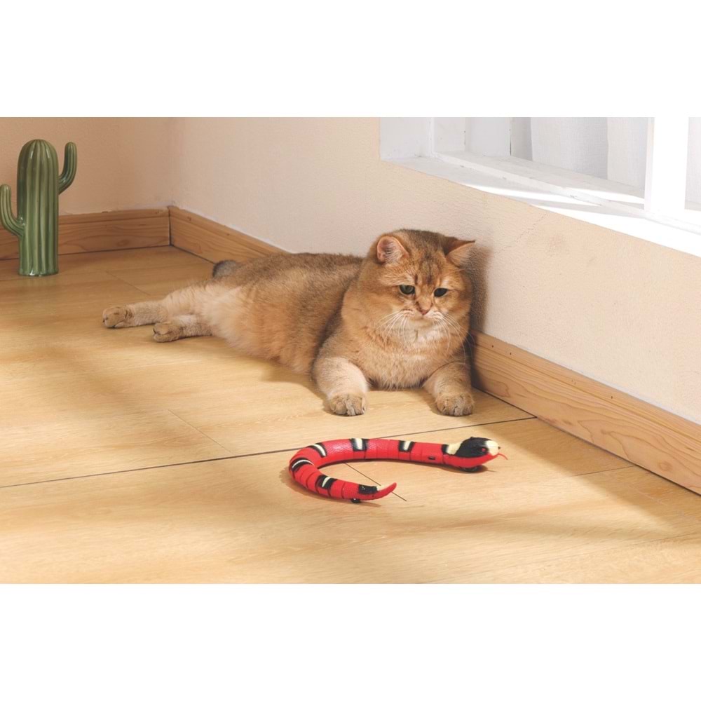 20642099 M-PETS SNEAKY SNAKE İNTERAKTİF KEDİ OYUNCAĞI