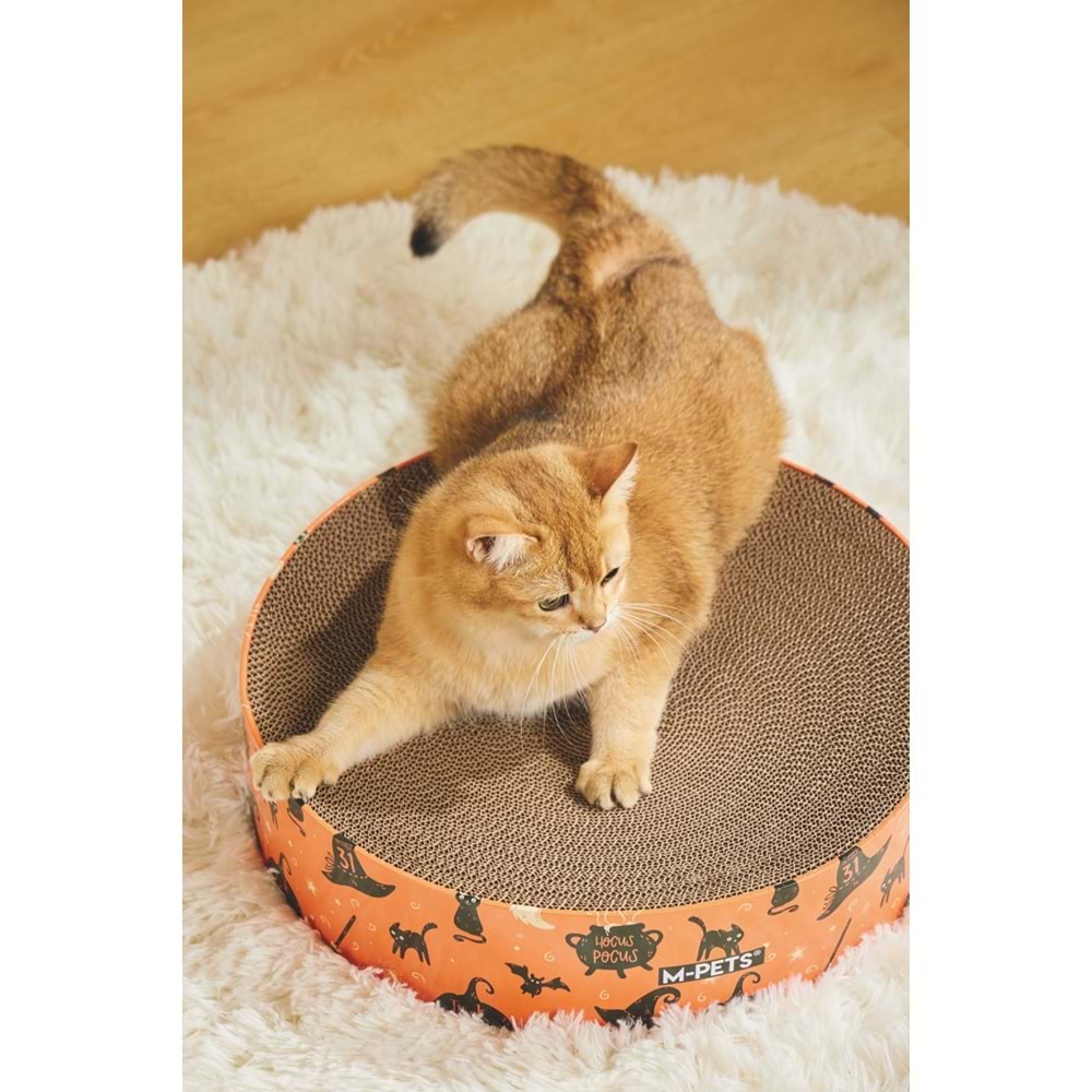 20644099 M-PETS HALLOWEEN KEDİ TIRMALAMA MYSTİC MİX