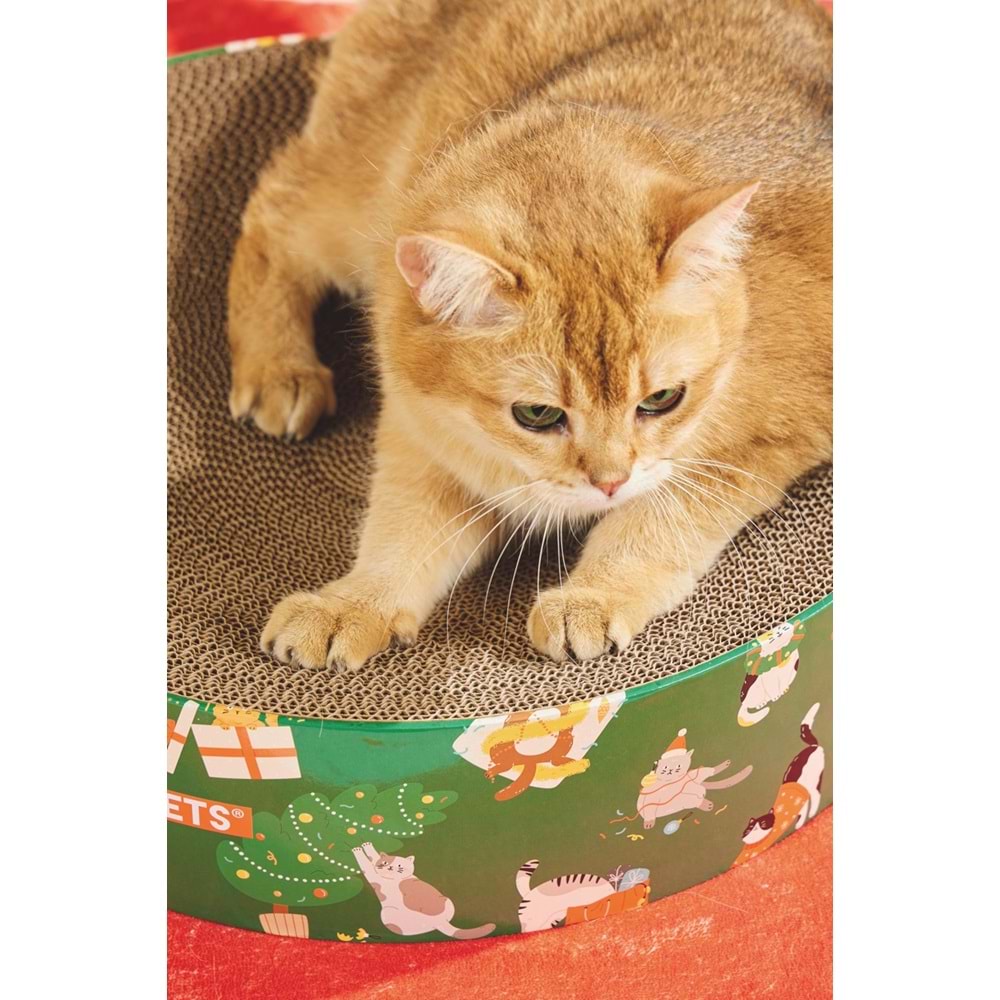 20644199 M-PETS CHRİSTMAS KEDİ TIRMALAMA FROSTY MİX