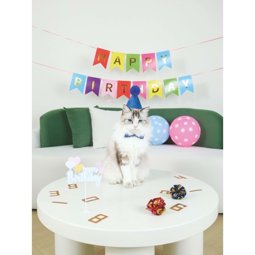 20644599 M-PETS PARTY TIME ERKEK KEDİLER İÇİN DOĞUM GÜNÜ SETİ