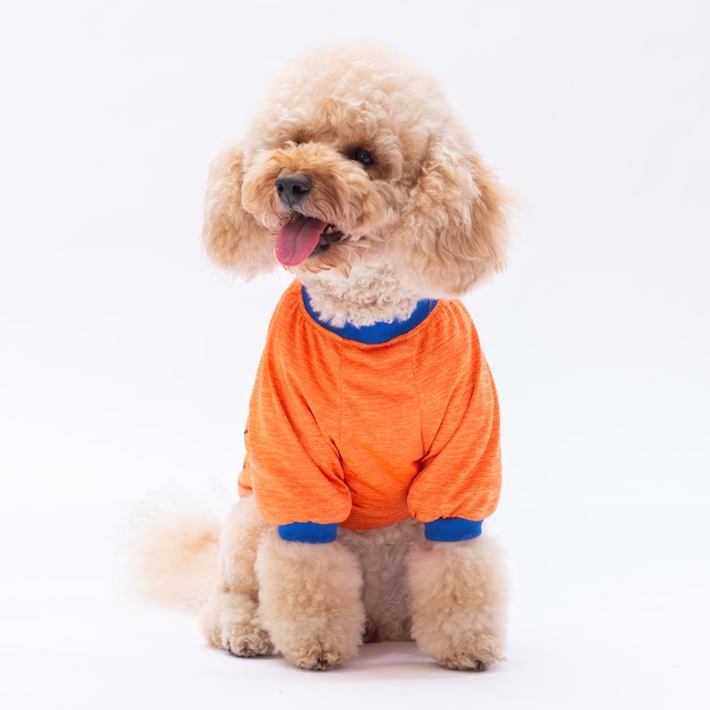 24713-PAWSTAR TURUNCU EVERYTHING SWEAT 5Lİ SET(M-L-XL-XL-2XL)