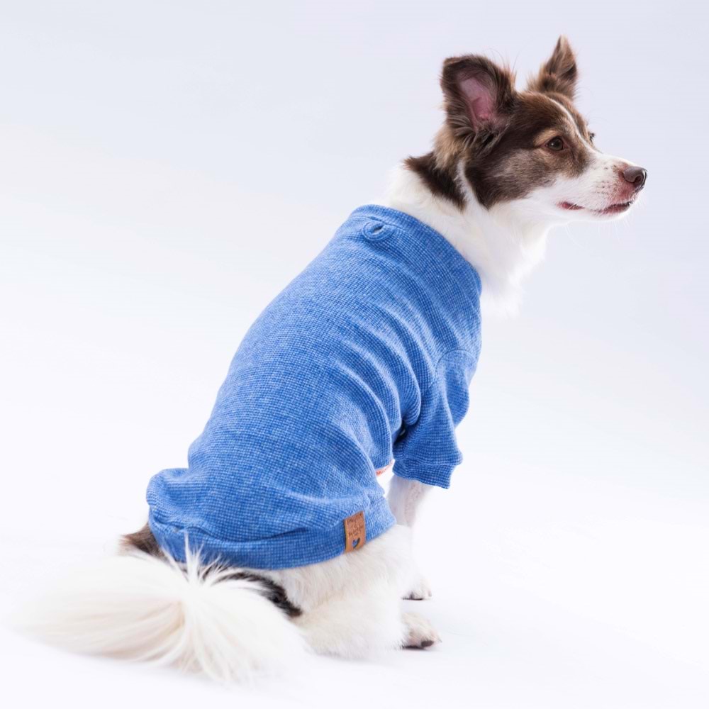 24723-PAWSTAR MAVI MERINO SWEAT 5Lİ SET M-L-L-XL-2XL