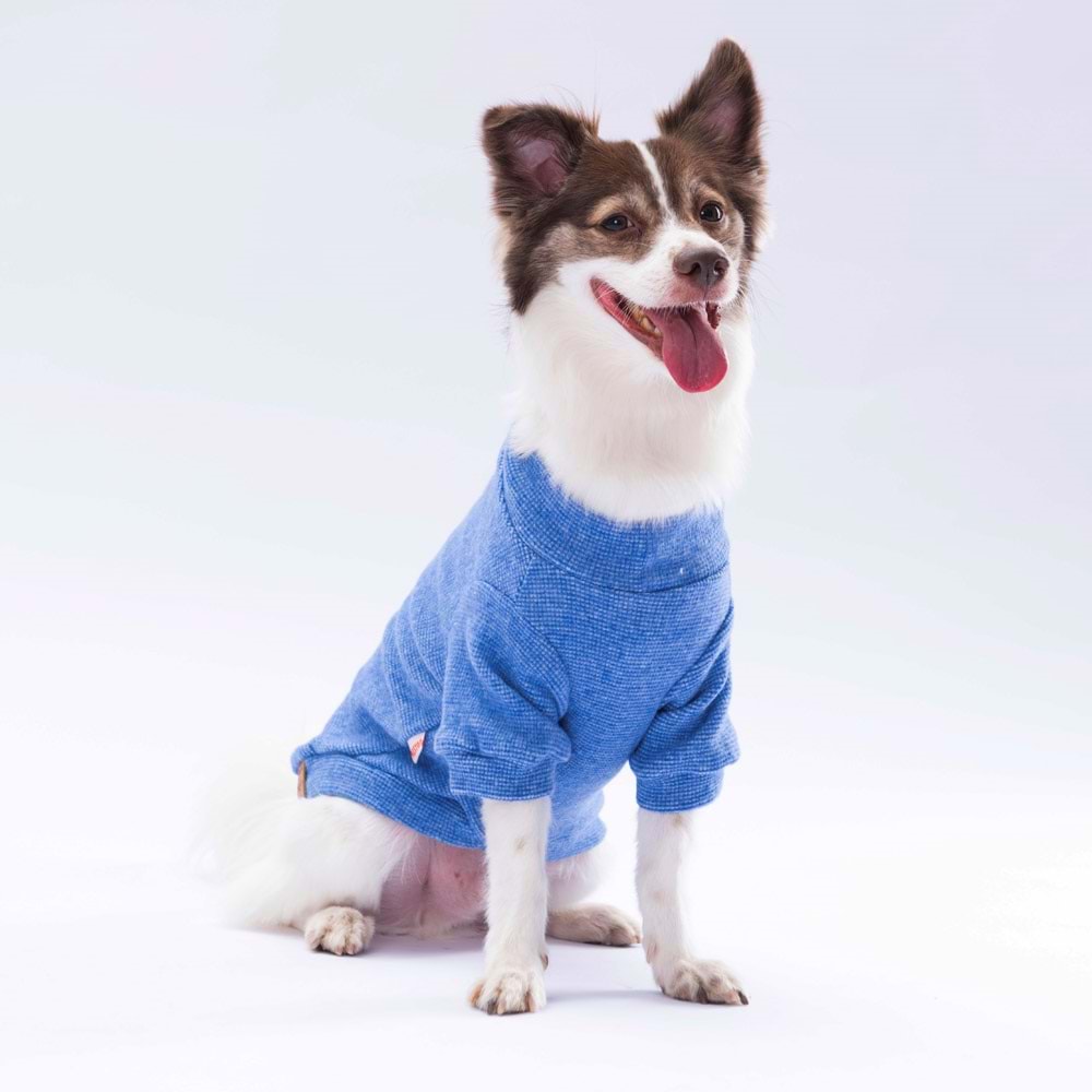 24723-PAWSTAR MAVI MERINO SWEAT 5Lİ SET M-L-L-XL-2XL