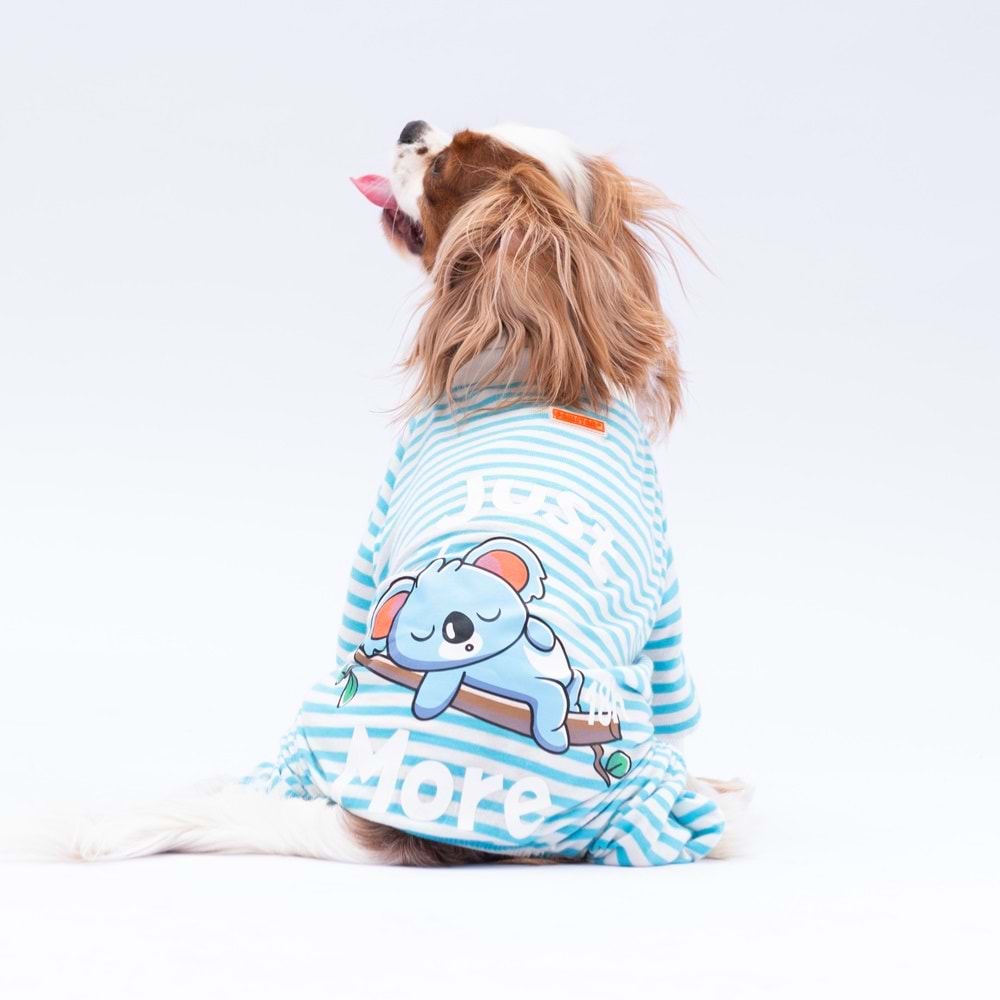 24905-PAWSTAR MAVİ JUST MORE PİJAMA TULUM 5Lİ SET(M-L-L-XL-2XL)