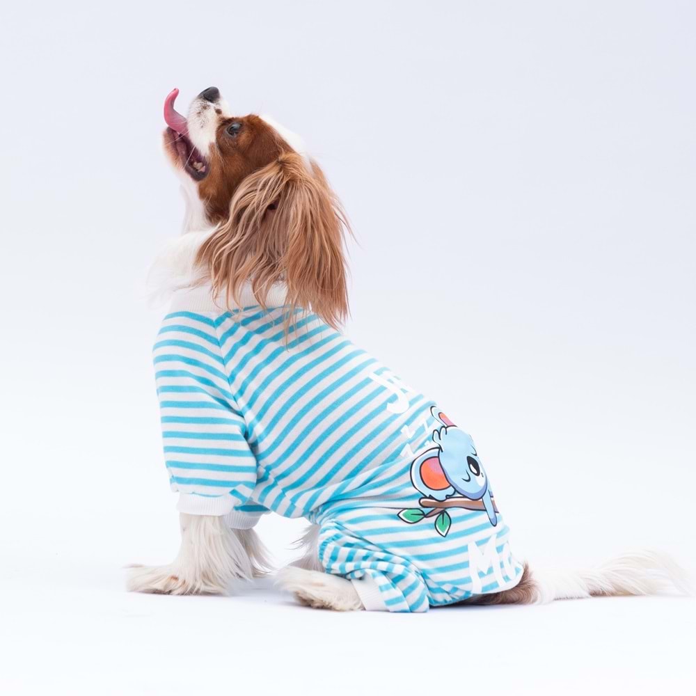 24905-PAWSTAR MAVİ JUST MORE PİJAMA TULUM 5Lİ SET(M-L-L-XL-2XL)
