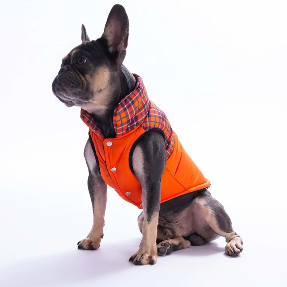 25102-PAWSTAR TURUNCU ELGIN PAWS YELEK 5Lİ SET M-L-L-XL-2XL