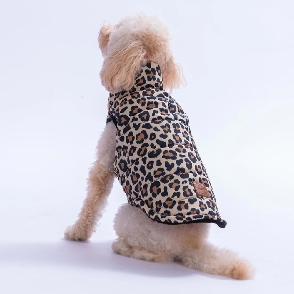 25109-PAWSTAR MBEYA GOLD YELEK 5Lİ SET M-L-L-XL-2XL