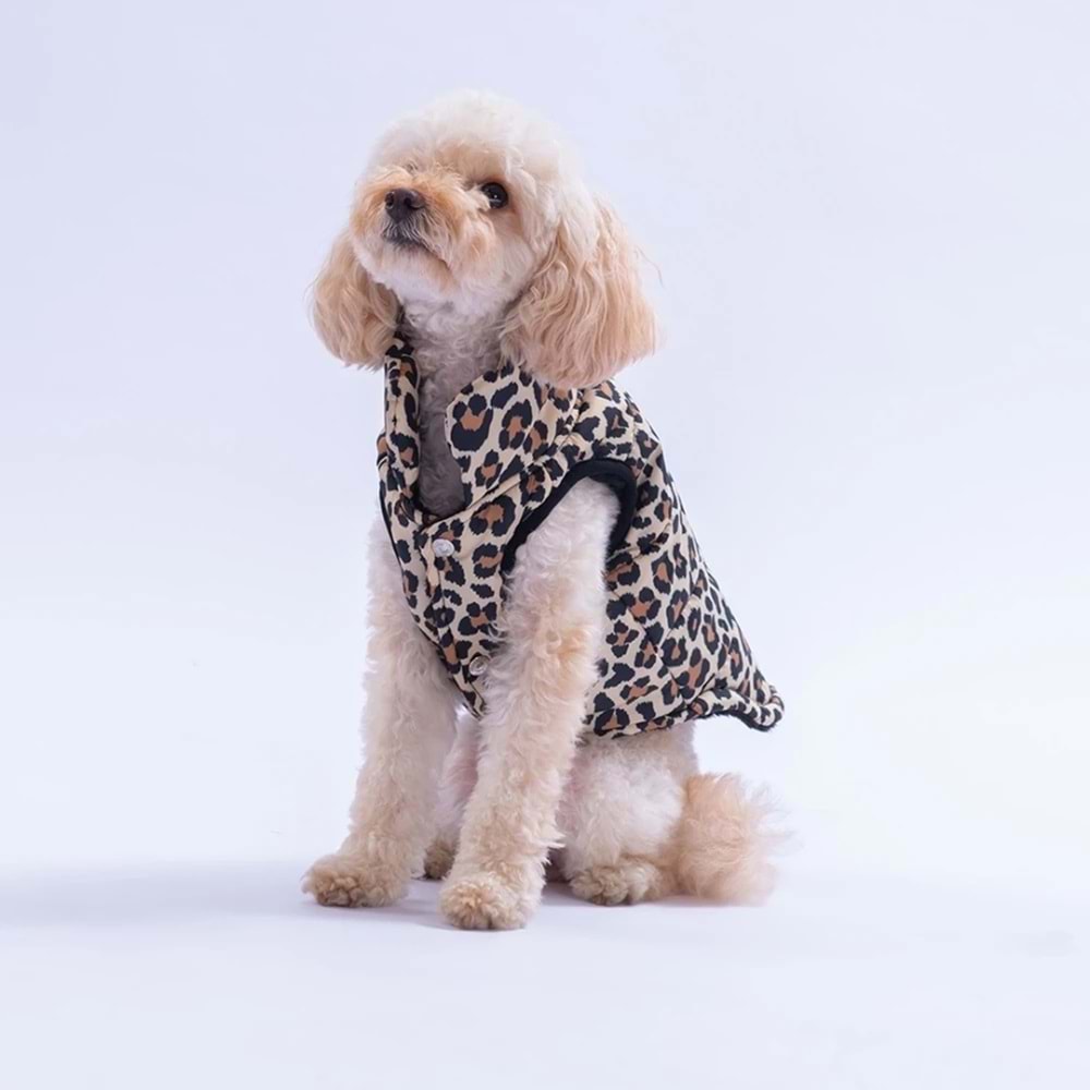 25109-PAWSTAR MBEYA GOLD YELEK 5Lİ SET M-L-L-XL-2XL