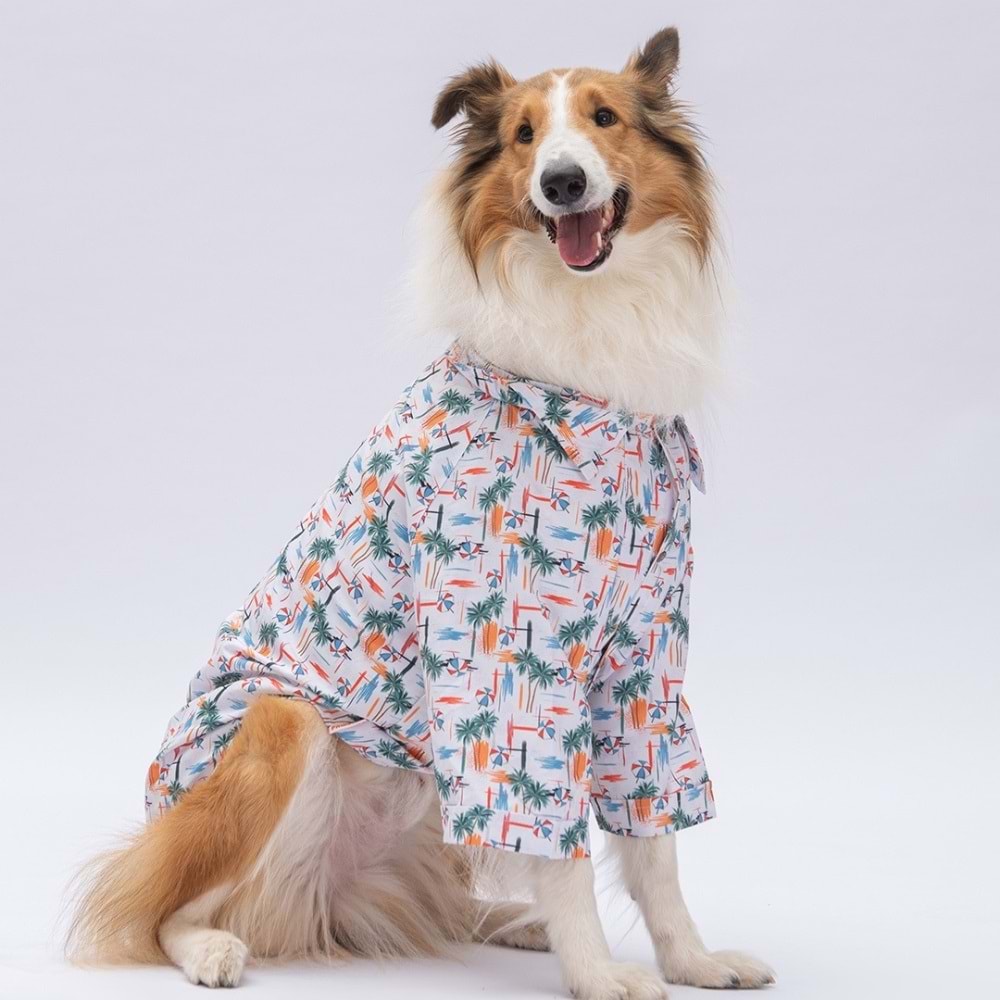 25406-PAWSTAR PALM BEACH DESENLİ GÖMLEK 5Lİ SET (M-L-L-XL-2XL)