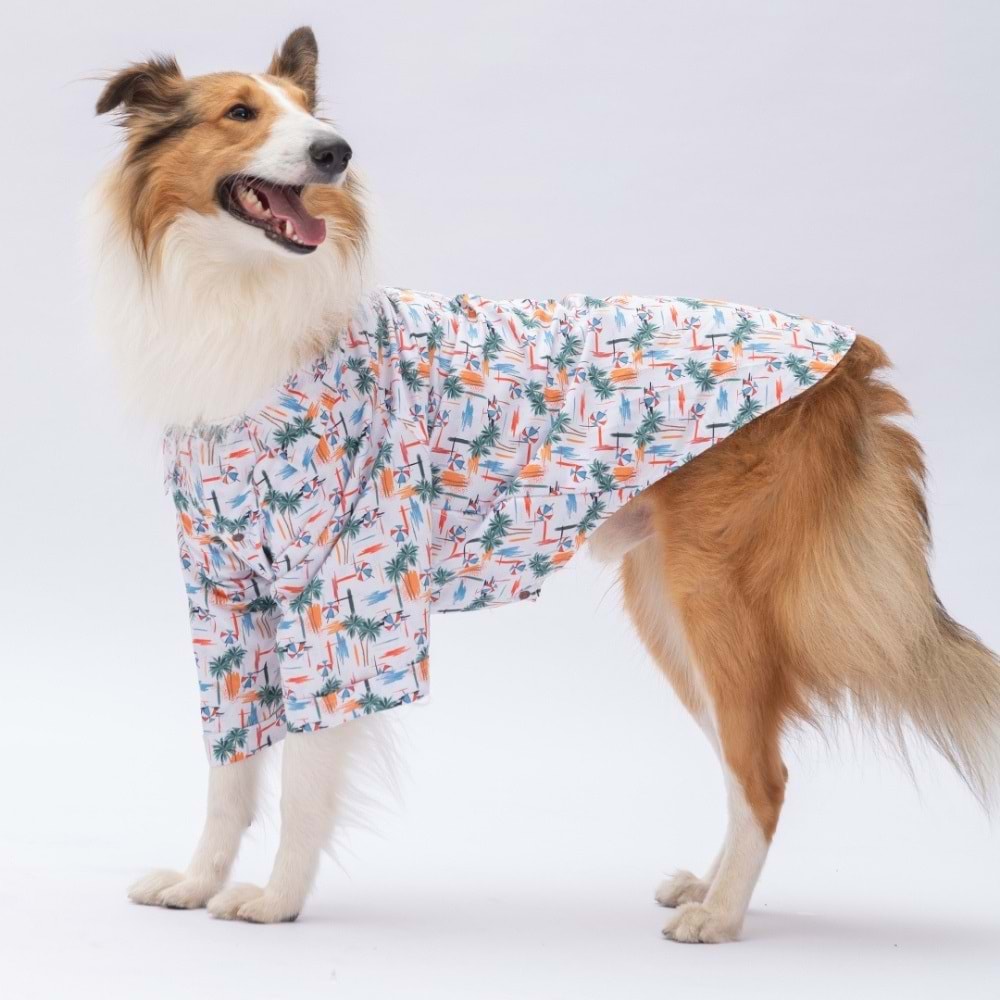 25406-PAWSTAR PALM BEACH DESENLİ GÖMLEK 5Lİ SET (M-L-L-XL-2XL)