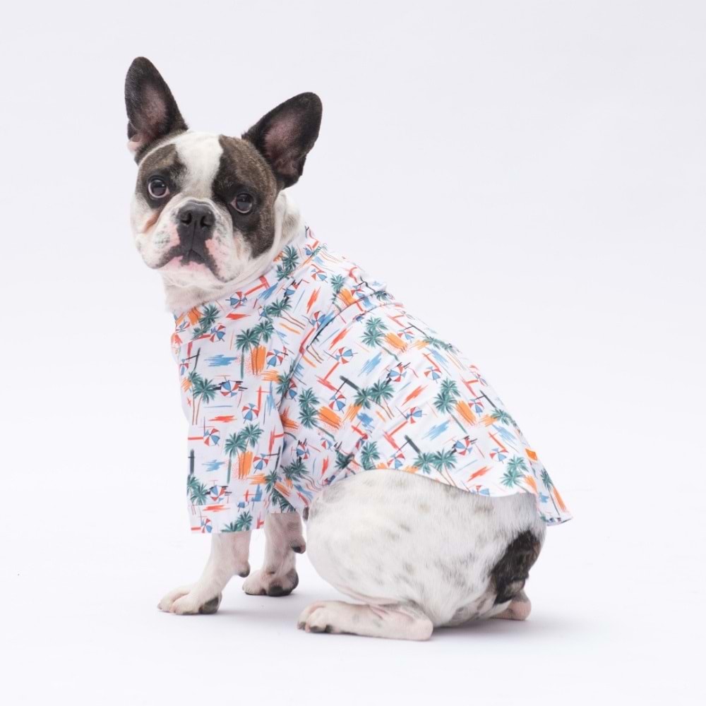 25406-PAWSTAR PALM BEACH DESENLİ GÖMLEK 5Lİ SET (M-L-L-XL-2XL)