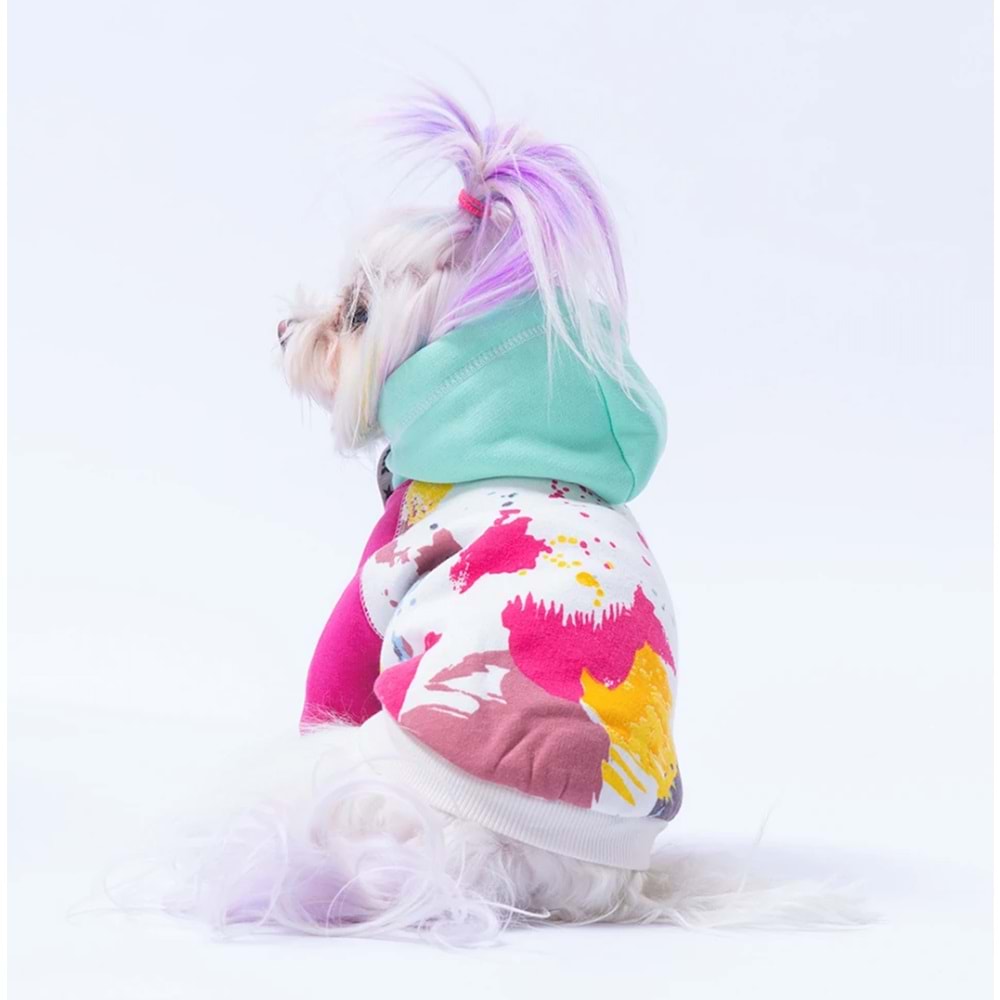 25701-PAWSTAR MINT RIO HOODIE 5Lİ SET M-L-L-XL-2XL