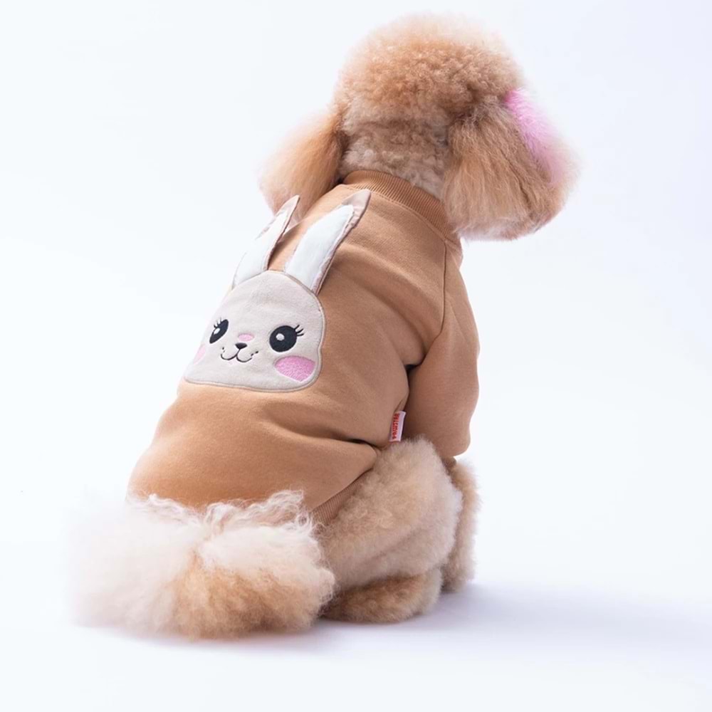 25713-PAWSTAR KAHVERENGI DUBLIN HOPPER SWEAT 5Lİ SET M-L-L-XL-2XL