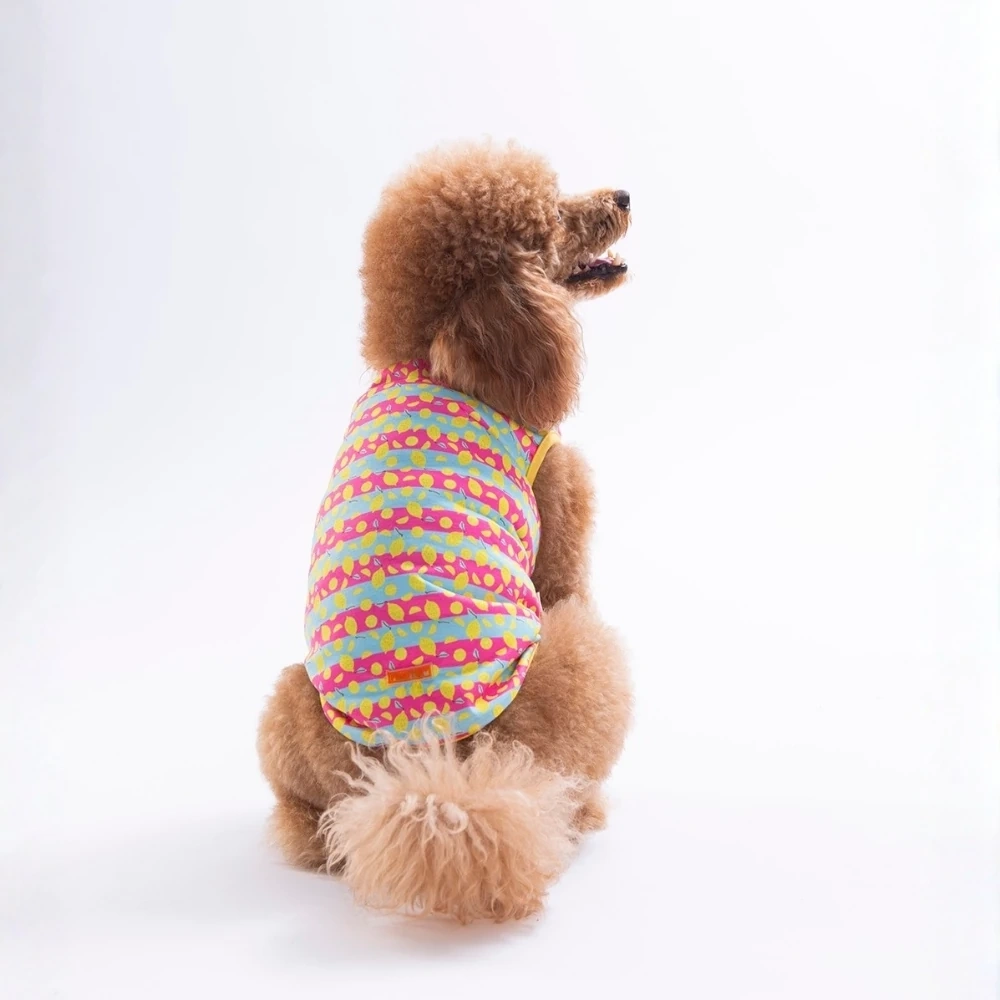 26830-PAWSTAR LEMON PARTY TSHİRT 6LI SET (S-M-L-L-XL-2XL)