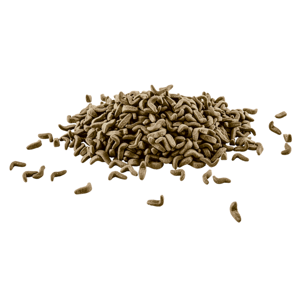 160088-TETRA REPTOMİN 100ML