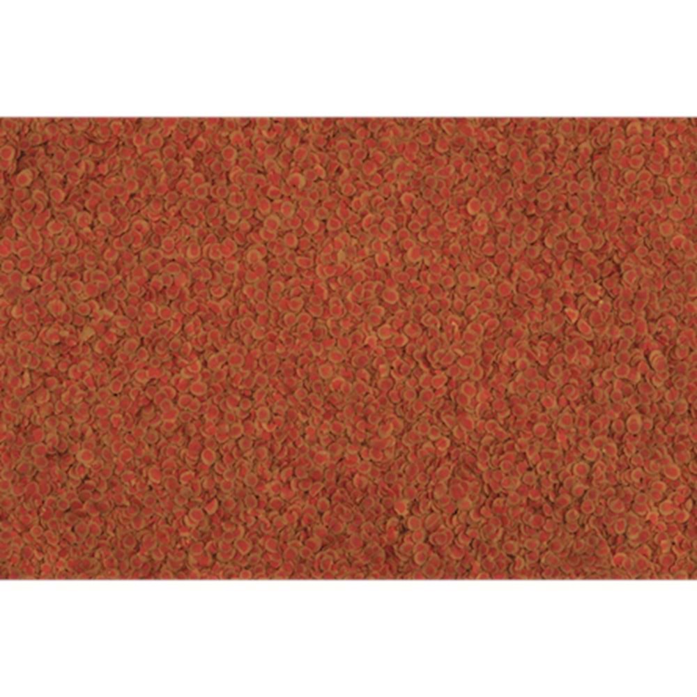 708473-TETRA PRO COLOUR 10LT KOVA