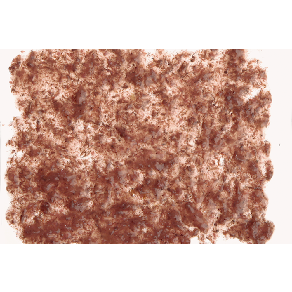 766945-TETRA FRESHDELİCA BRINE SHRIMPS 48GR