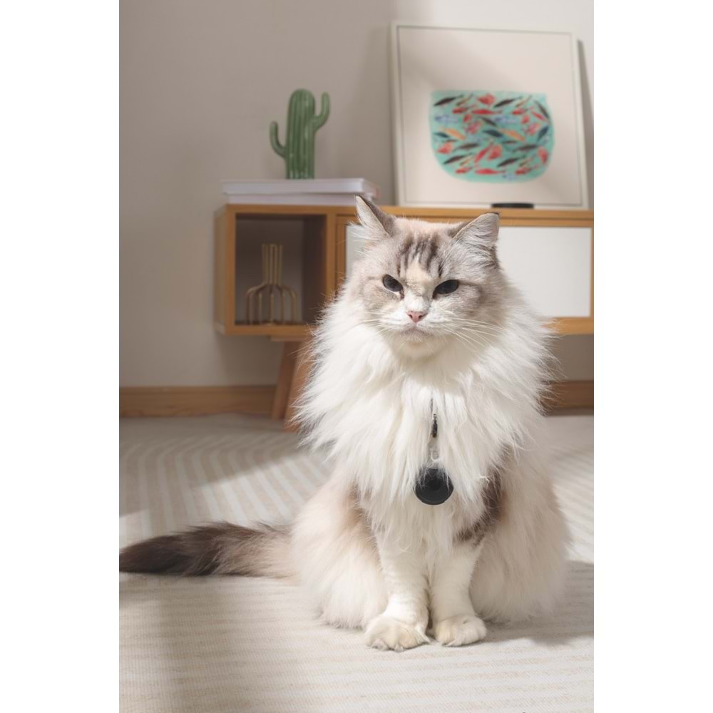 60102799 M-PETS FEARLESS ULTRASONIC PİRE ve KENE KOVUCU