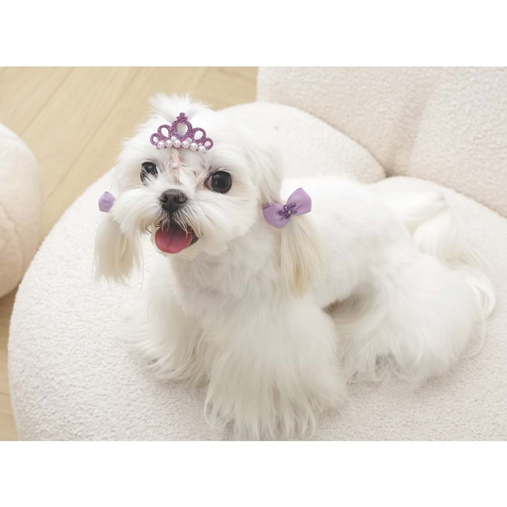60900099 M-PETS GLAM KÖPEKLER İÇİN AKSESUAR TOKA PURPLE