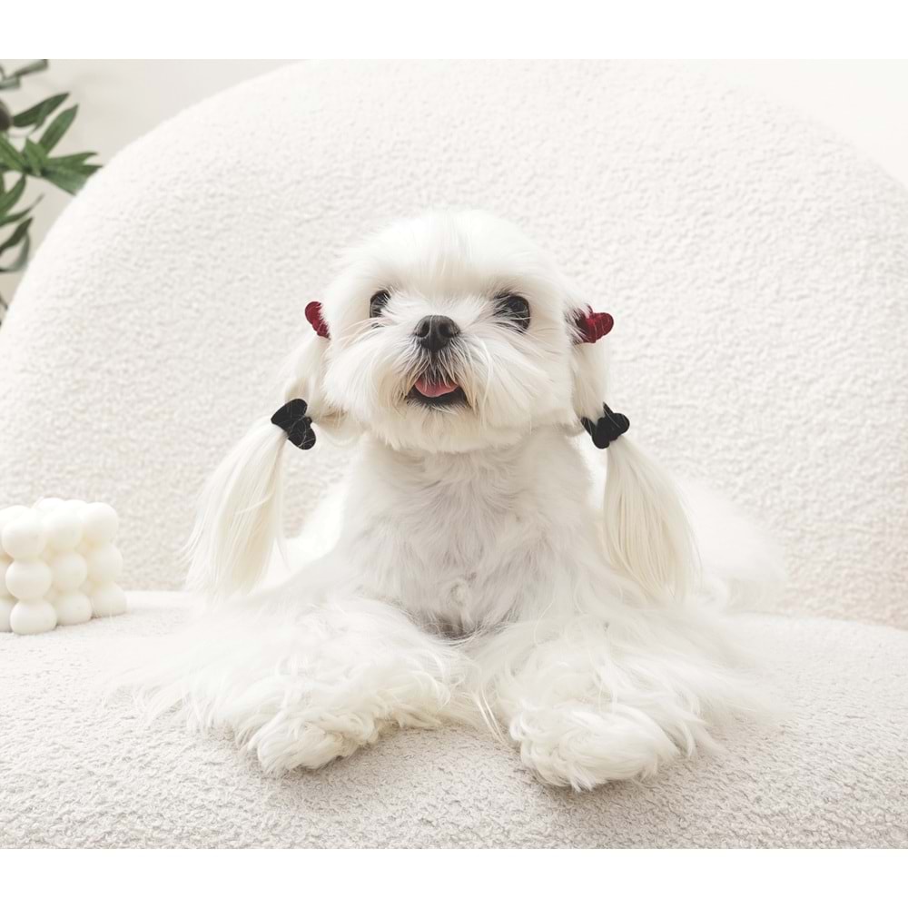 60901199 M-PETS GLAM KÖPEKLER İÇİN AKSESUAR TOKA BLACK/RED