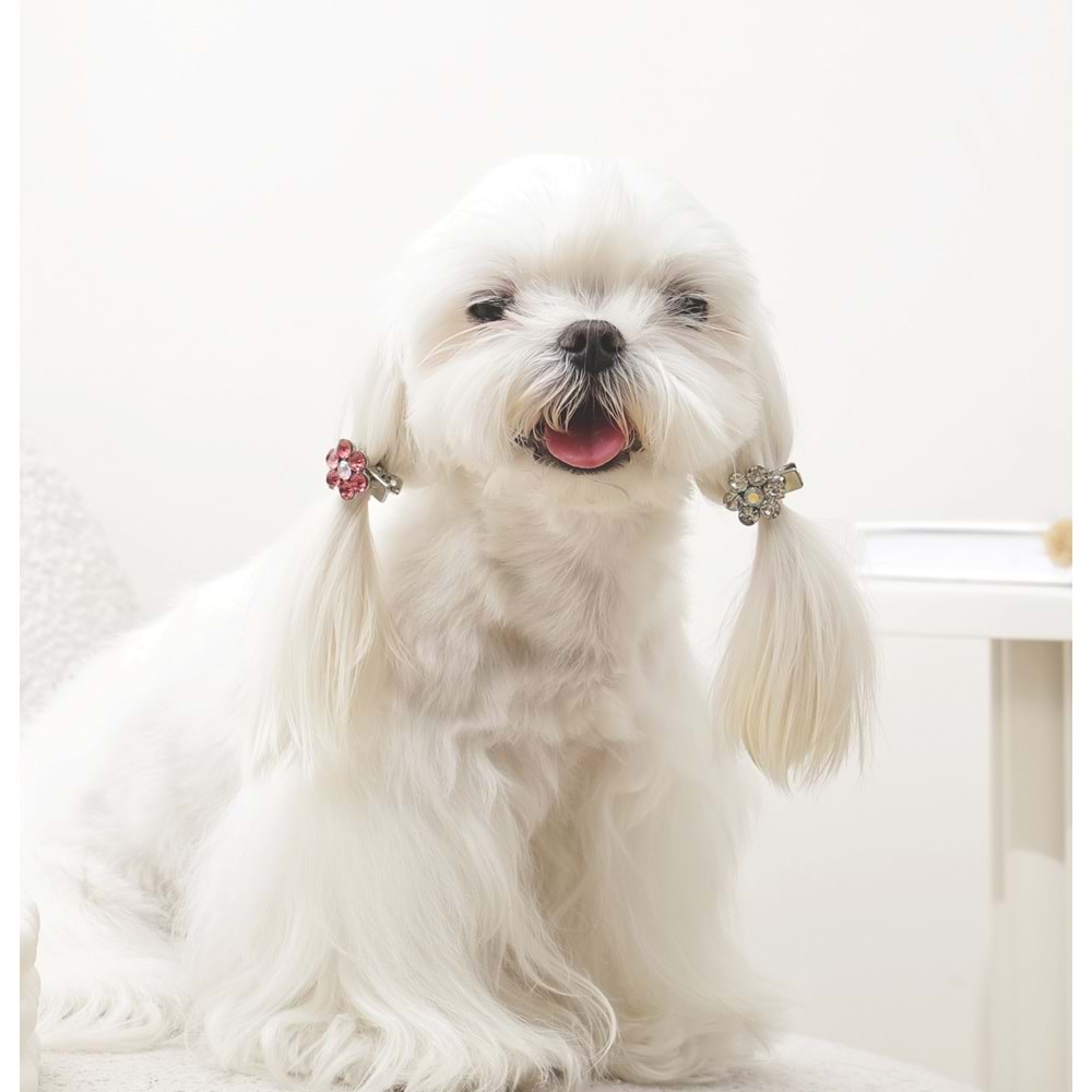 60901499 M-PETS GLAM KÖPEKLER İÇİN AKSESUAR TOKA PİNK/WHİTE