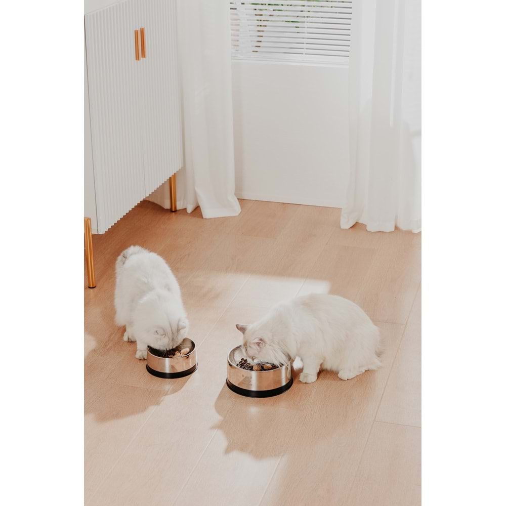 PAWGETHER BOWL 2 METAL MAMA KABI 400ML