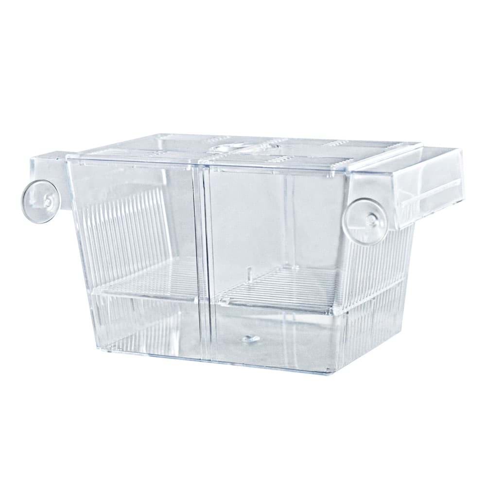 SY029 AQUAWE ÇİFT YAVRULUK