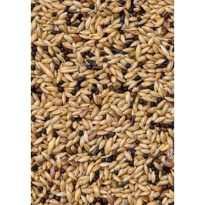 28220 DELİ NATURE PREMİUM KANARYA YEMİ 1000GR 10LU