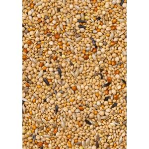 28424 DELİ NATURE PREMİUM FOREİGN FİNCHES FİNÇ YEMİ 1100GR 10LU