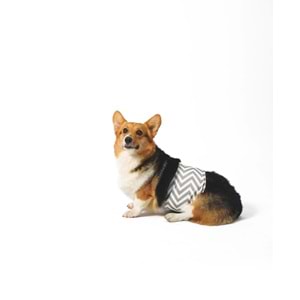 10169899 M-PETS ERKEK KÖPEKLER İÇİN YIKANABİLİR KÜLOT (XXL)