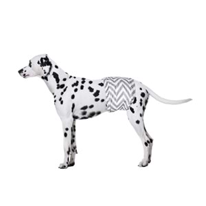 10179699 M-PETS ERKEK KÖPEKLER İÇİN YIKANABİLİR KÜLOT 2Lİ (L)