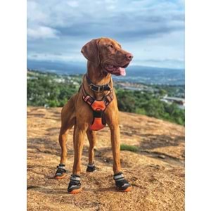 10360713 M-PETS HIKING KÖPEKLER İÇİN AYAKKABI #5 M-L