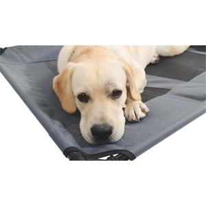 10362099 M-PETS ELEVATED KEDİ ve KÖPEK YATAĞI (M)