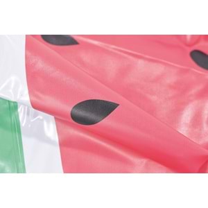 10374599 M-PETS SPLASH AQUA MAT WATERMELON OYUN HAVUZU FİSKİYELİ 100CM (S)