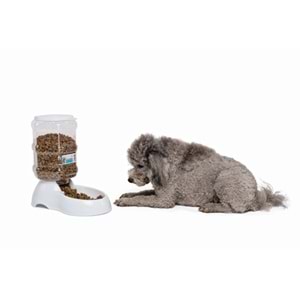 10552899 M-PETS SAONE HAZNELİ MAMA KABI 3,5L