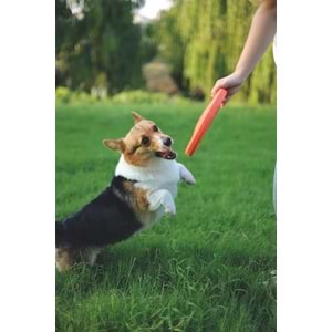 10615099 M-PETS SPLASH FRISBEES FLOATING OYUNCAK