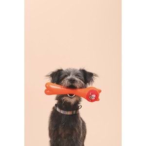 10638105 M-PETS ROB ÖDÜL HAZNELİ KAUÇUK KÖPEK OYUNCAĞI ORANGE