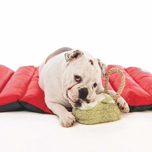 10640199 M-PETS LEIF KÖPEKLER İÇİN SEVİMLİ KİRPİ OYUNCAK