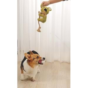10640999 M-PETS LARS KÖPEK OYUNCAĞI