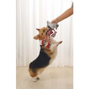 10643799 M-PETS BAILEY KÖPEK OYUNCAĞI