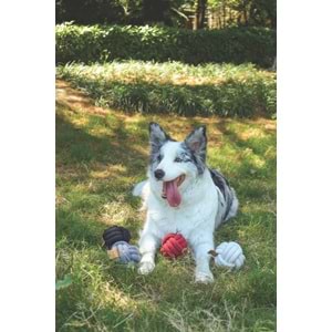 10647708 M-PETS COTO BLACK BALL 9,5CM ÖRGÜ TOP OYUNCAK