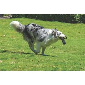 10648608 M-PETS COTO BLACK LOOP BAR 34 CM ÖRGÜ OYUNCAK