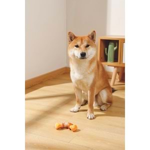 10650299 M-PETS CARNIVORE DOG TOY BOOMERANG BONE PASTIRMA AROMALI