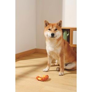 10650499 M-PETS CARNIVORE DOG TOY RING BONE PASTIRMA AROMALI