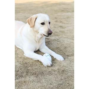 10650999 M-PETS BLOOM RUGBY PARÇALANMAZ RUGBY TOPU WHİTE/BLUE