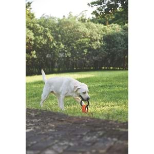10660199 M-PETS RING KING KÖPEK OYUNCAĞI TRIPLE ORANGE/BLACK