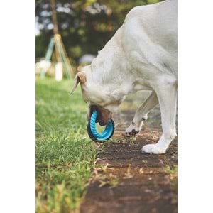 10660299 M-PETS RING KING KÖPEK OYUNCAĞI DOUBLE BLUE/BLACK