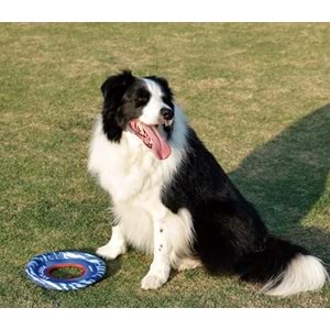 10672099 M-PETS SPRINTPUFF FRISBEE KÖPEK OYUNCAĞI BLUE/BLUE