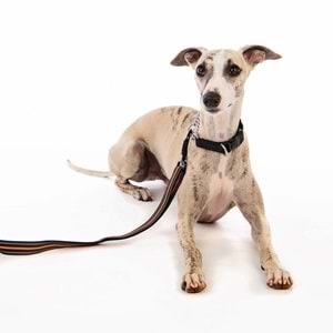 10811699 M-PETS KOMBI 2IN1 EĞİTİM TASMASI (S)