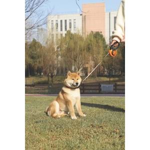 10830199 M-PETS AUTOBRAKE OTOMATİK GEZDİRME ŞERİT 4MT/ORANGE (L)